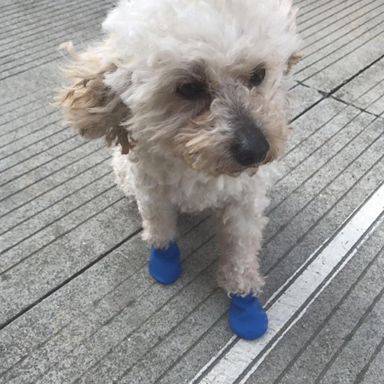 4/8Pcs Dog Cat Rain Protective Boots Waterproof Puppy Pet Shoe Covers Boots Anti-Slip 4/8Pcs Dog Cat Rain Protective Boots Waterproof Puppy Pet Shoe Covers Boots Anti-Slip
