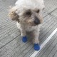 4/8Pcs Dog Cat Rain Protective Boots Waterproof Puppy Pet Shoe Covers Boots Anti-Slip