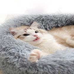 70cm Plush Fluffy Soft Pet Bed for Cats & Dogs Calming Bed Pad Soft Mat Home 70cm Plush Fluffy Soft Pet Bed for Cats & Dogs Calming Bed Pad Soft Mat Home