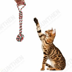 Assorted Dog Puppy Pet Toys Ropes Chew Balls Training Play Bundle Teething Aid Assorted Dog Puppy Pet Toys Ropes Chew Balls Training Play Bundle Teething Aid