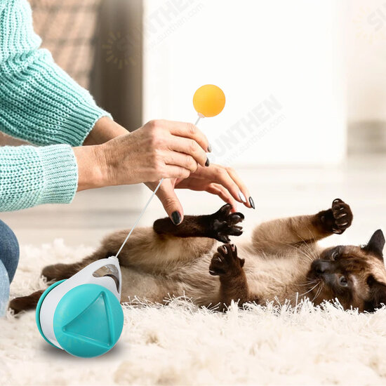 Cat Toy, 360° Tumbler Self-Spinning Toy with Catnip Ball, Interesting Interactive Toy for Puppy and Dog