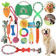 Dog Rope Toys Set 13/17 Pack Dog Chew Toys for Dog Teeth Grinding Cleaning Ball Play IQ Training Interactive Knot