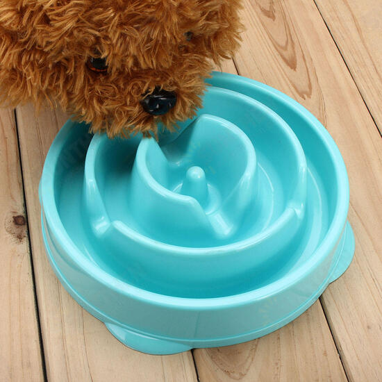 Dog Slow Food Bowl Down Eating Feeder Dish Pet Supplies Puppy Cat Feeding Anti Slip Gulp