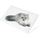 Electric Pet Heat Mat Heated Heating Pad Blanket Dog Cat Waterproof Electric Pet Heat Mat Heated Heating Pad Blanket Dog Cat Waterproof
