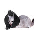 Dog Cone Collar Pet Recovery Collar Dogs & Cats Soft Recovery Collar Protective Collar for Large Dogs Wound Healing