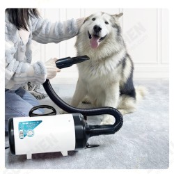 PD9001 Pet Blowing Machine 2200W Low Noise Wam Wind Household Cat Dog Fast Hair Dryer for Pet Supplies Grooming PD9001 Pet Blowing Machine 2200W Low Noise Wam Wind Household Cat Dog Fast Hair Dryer for Pet Supplies Grooming