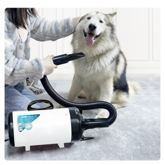 PD9001 Pet Blowing Machine 2200W Low Noise Wam Wind Household Cat Dog Fast Hair Dryer for Pet Supplies Grooming