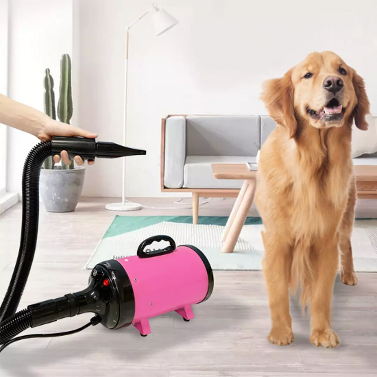 PD9001 Pet Blowing Machine 2200W Low Noise Wam Wind Household Cat Dog Fast Hair Dryer for Pet Supplies Grooming