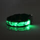 L Pet Dog LED Collar Nylon Safety Light Up Flashing Collar L Pet Dog LED Collar Nylon Safety Light Up Flashing Collar