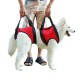 Pet Auxiliary Belt Dog Harness Carriers Assist Sling Portable Lift Security Support Rehabilitation Pet Auxiliary Belt Dog Harness Carriers Assist Sling Portable Lift Security Support Rehabilitation