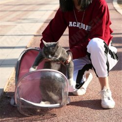 Pet Cat Parrot Bird Carrier Travel Breathable Transparent Space Capsule Backpack Pet Cat Parrot Bird Carrier Travel Breathable Transparent Space Capsule Backpack