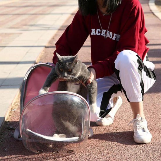 Pet Cat Parrot Bird Carrier Travel Breathable Transparent Space Capsule Backpack