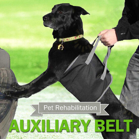 Pet Dog Auxiliary Belt Carrier Bag Assist Sling Outdoor Portable Lift Support Rehabilitation Harness