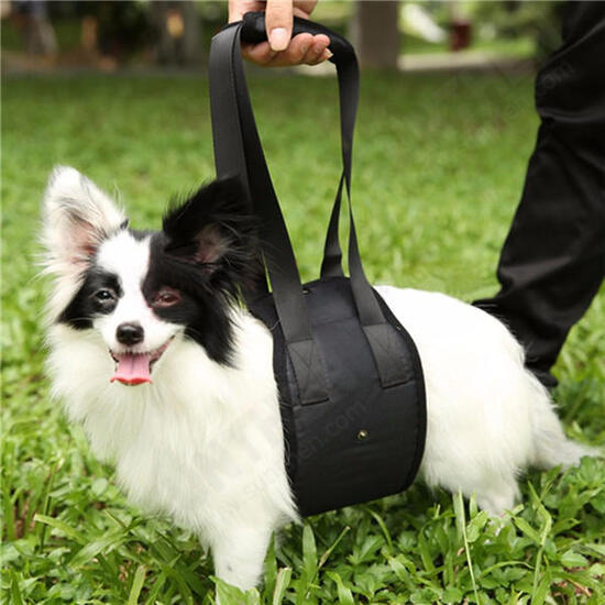 Pet Dog Auxiliary Belt Carrier Bag Assist Sling Outdoor Portable Lift Support Rehabilitation Harness