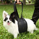 Pet Dog Auxiliary Belt Carrier Bag Assist Sling Outdoor Portable Lift Support Rehabilitation Harness Pet Dog Auxiliary Belt Carrier Bag Assist Sling Outdoor Portable Lift Support Rehabilitation Harness