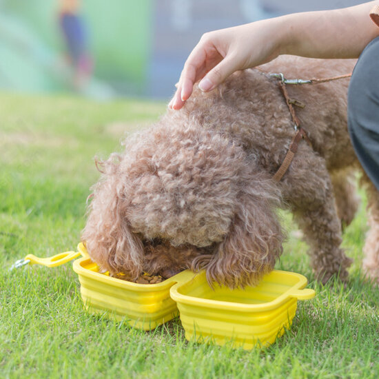 Pet Folding Bowl Dog Supplies Cat Puppy Foldable Carry Travel Feeder Drinking Pet Folding Bowl Dog Supplies Cat Puppy Foldable Carry Travel Feeder Drinking
