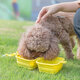 Pet Folding Bowl Dog Supplies Cat Puppy Foldable Carry Travel Feeder Drinking Pet Folding Bowl Dog Supplies Cat Puppy Foldable Carry Travel Feeder Drinking