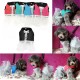 Pet traction chest and dog back dress/skirt Oxford cloth + chiffon bust 24CM back length 18CM with leash length 130cm