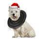 Protective Cone for Dogs Cats After Surgery Soft Elizabethan Collar Recovery Puppy Pet Supplies Protective Cone for Dogs Cats After Surgery Soft Elizabethan Collar Recovery Puppy Pet Supplies