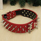 S Spiked Studded Leather Pet Bulldog Dog Mastiff Heavy Collar