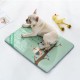 S/M/L/XL Ice Silk Summer Cooling Pet Dog Cat Puppy Cushion Mat Pad Home