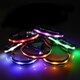 Size M Nylon Safety Flashing Glow Light LED Pet Dog Collar