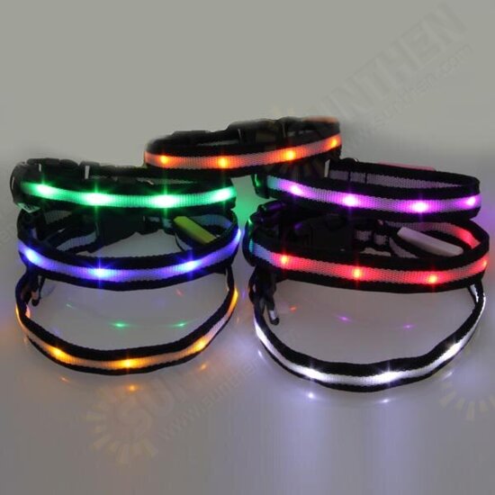 Size M Nylon Safety Flashing Glow Light LED Pet Dog Collar