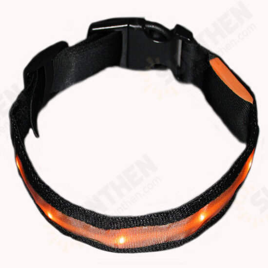 Size M Nylon Safety Flashing Glow Light LED Pet Dog Collar