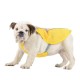 Summer Pet Dog Cooling Vest / Coat - Cool Down your Dog in Hot Weather