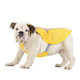 Summer Pet Dog Cooling Vest / Coat - Cool Down your Dog in Hot Weather Summer Pet Dog Cooling Vest / Coat - Cool Down your Dog in Hot Weather
