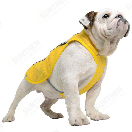 Summer Pet Dog Cooling Vest / Coat - Cool Down your Dog in Hot Weather