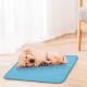 Summer Portable Summer Ice Silk Pad Pet Cooling Mat Dog Bed Floor Mat Sofa Pad Kennel Mat