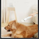 Uah Pet Hair Water Blower Powerful Mode Pet Hair Dryer NTC Intelligent Temperature Control Negative Ion Protection Hair Dryer with 3 Air Nozzle Uah Pet Hair Water Blower Powerful Mode Pet Hair Dryer NTC Intelligent Temperature Control Negative Ion Protection Hair Dryer with 3 Air Nozzle