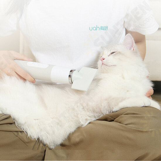 Uah Pet Hair Water Blower Powerful Mode Pet Hair Dryer NTC Intelligent Temperature Control Negative Ion Protection Hair Dryer with 3 Air Nozzle Uah Pet Hair Water Blower Powerful Mode Pet Hair Dryer NTC Intelligent Temperature Control Negative Ion Protection Hair Dryer with 3 Air Nozzle