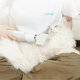 Uah Pet Hair Water Blower Powerful Mode Pet Hair Dryer NTC Intelligent Temperature Control Negative Ion Protection Hair Dryer with 3 Air Nozzle Uah Pet Hair Water Blower Powerful Mode Pet Hair Dryer NTC Intelligent Temperature Control Negative Ion Protection Hair Dryer with 3 Air Nozzle