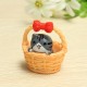 Cute Basket Cat Resin Handicraft Decoration