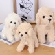 18/25CM Multi-color Simulation Realistic Teddy Lucky Dog Handmade Poodle Stuffed Plush Animal Figure Toy