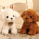 18/25CM Multi-color Simulation Realistic Teddy Lucky Dog Handmade Poodle Stuffed Plush Animal Figure Toy