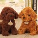 18/25CM Multi-color Simulation Realistic Teddy Lucky Dog Handmade Poodle Stuffed Plush Animal Figure Toy