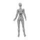 Figma Archetype Action Figure Doll PVC M2.0 Body Female Grey Color Model Doll For Decoration