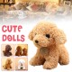 Simulation Teddy Dog Plush Toy Puppy Doll Catch Machine Doll New Gift Doll Toys