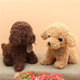 Simulation Teddy Dog Plush Toy Puppy Doll Catch Machine Doll New Gift Doll Toys