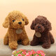 Simulation Teddy Dog Plush Toy Puppy Doll Catch Machine Doll New Gift Doll Toys