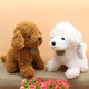 Simulation Teddy Dog Plush Toy Puppy Doll Catch Machine Doll New Gift Doll Toys