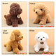 Simulation Teddy Dog Plush Toy Puppy Doll Catch Machine Doll New Gift Doll Toys