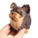 Yorkshires Terrier Realistic Simulation Plush Dog Lifelike Animal Dolls Toy for Home Decoration Collection Kids Gift