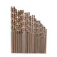 51Pcs 1-6mm M35 Cobalt Drill Bit Set HSS-Co Jobber Length Twist Drill Bits with Metal Case for Stainless Steel Wood Metal Drilling 51Pcs 1-6mm M35 Cobalt Drill Bit Set HSS-Co Jobber Length Twist Drill Bits with Metal Case for Stainless Steel Wood Metal Drilling