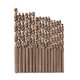 51Pcs 1-6mm M35 Cobalt Drill Bit Set HSS-Co Jobber Length Twist Drill Bits with Metal Case for Stainless Steel Wood Metal Drilling 51Pcs 1-6mm M35 Cobalt Drill Bit Set HSS-Co Jobber Length Twist Drill Bits with Metal Case for Stainless Steel Wood Metal Drilling