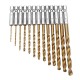 DB-T2 13pcs 1.5-6.5mm HSS Titanium Coated 1/4 Inch Hex Shank Twist Drill Bit Set DB-T2 13pcs 1.5-6.5mm HSS Titanium Coated 1/4 Inch Hex Shank Twist Drill Bit Set