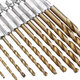 DB-T2 13pcs 1.5-6.5mm HSS Titanium Coated 1/4 Inch Hex Shank Twist Drill Bit Set DB-T2 13pcs 1.5-6.5mm HSS Titanium Coated 1/4 Inch Hex Shank Twist Drill Bit Set